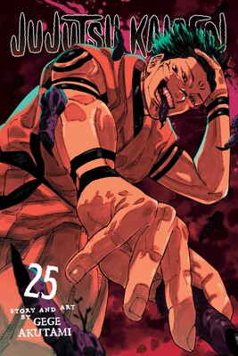 Jujutsu Kaisen, Vol. 25 (pre-order)